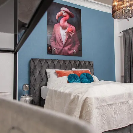 Nidusrooms Moderne Barock Heidelberg